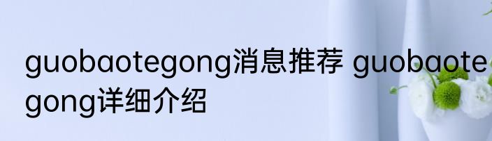 guobaotegong消息推荐 guobaotegong详细介绍