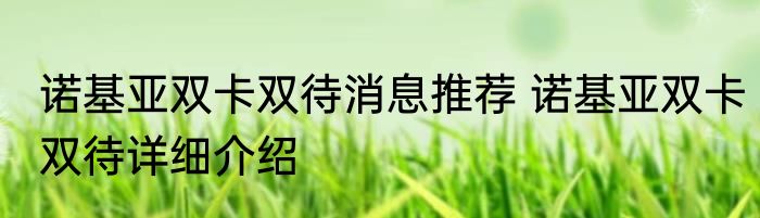 诺基亚双卡双待消息推荐 诺基亚双卡双待详细介绍