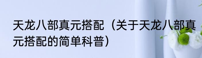 天龙八部真元搭配（关于天龙八部真元搭配的简单科普）