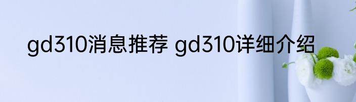 gd310消息推荐 gd310详细介绍