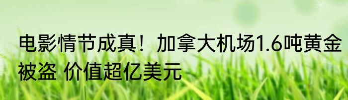 电影情节成真！加拿大机场1.6吨黄金被盗 价值超亿美元