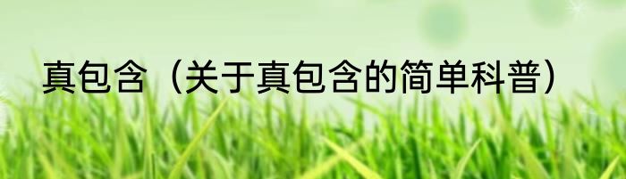 真包含（关于真包含的简单科普）