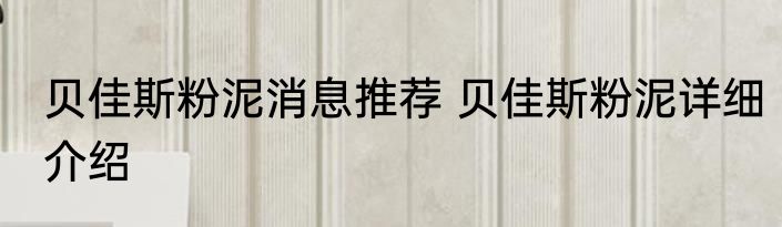 贝佳斯粉泥消息推荐 贝佳斯粉泥详细介绍