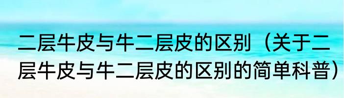 二层牛皮与牛二层皮的区别（关于二层牛皮与牛二层皮的区别的简单科普）
