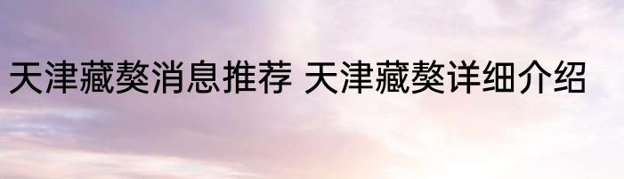 天津藏獒消息推荐 天津藏獒详细介绍