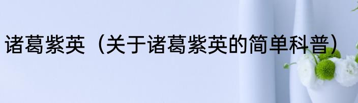 诸葛紫英（关于诸葛紫英的简单科普）