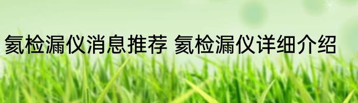 氦检漏仪消息推荐 氦检漏仪详细介绍