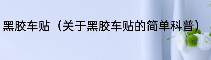 黑胶车贴（关于黑胶车贴的简单科普）