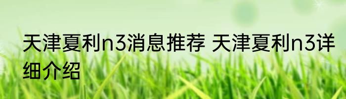 天津夏利n3消息推荐 天津夏利n3详细介绍