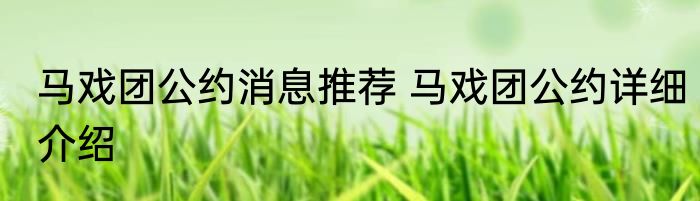 马戏团公约消息推荐 马戏团公约详细介绍