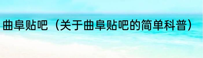 曲阜贴吧（关于曲阜贴吧的简单科普）