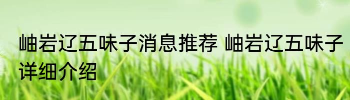 岫岩辽五味子消息推荐 岫岩辽五味子详细介绍