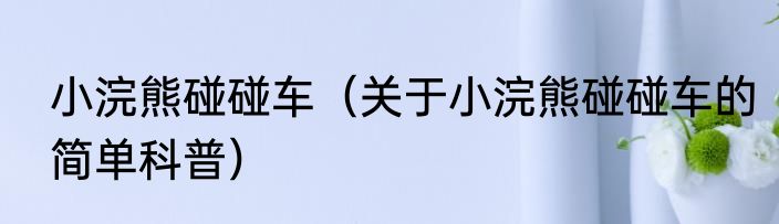 小浣熊碰碰车（关于小浣熊碰碰车的简单科普）