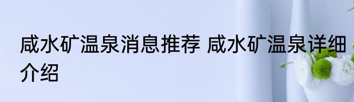 咸水矿温泉消息推荐 咸水矿温泉详细介绍
