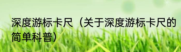 深度游标卡尺（关于深度游标卡尺的简单科普）