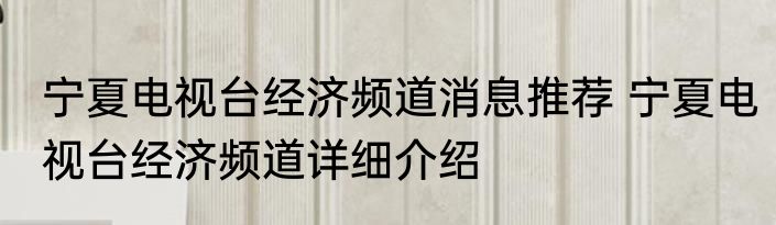宁夏电视台经济频道消息推荐 宁夏电视台经济频道详细介绍