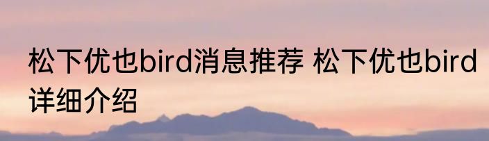松下优也bird消息推荐 松下优也bird详细介绍