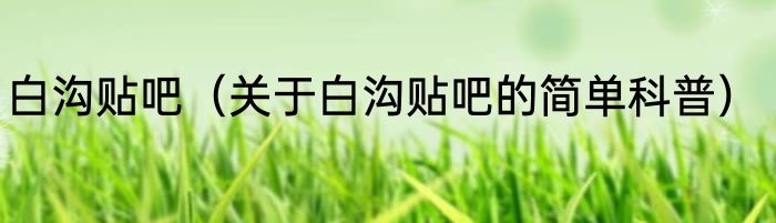 白沟贴吧（关于白沟贴吧的简单科普）