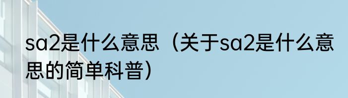 sa2是什么意思（关于sa2是什么意思的简单科普）
