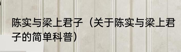 陈实与梁上君子（关于陈实与梁上君子的简单科普）