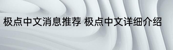 极点中文消息推荐 极点中文详细介绍