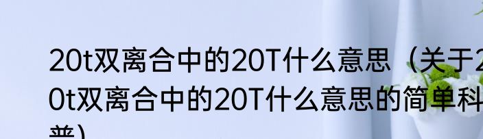 20t双离合中的20T什么意思（关于20t双离合中的20T什么意思的简单科普）
