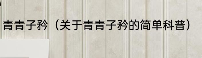 青青子矜（关于青青子矜的简单科普）