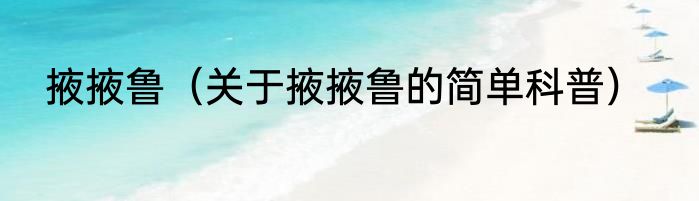 掖掖鲁（关于掖掖鲁的简单科普）