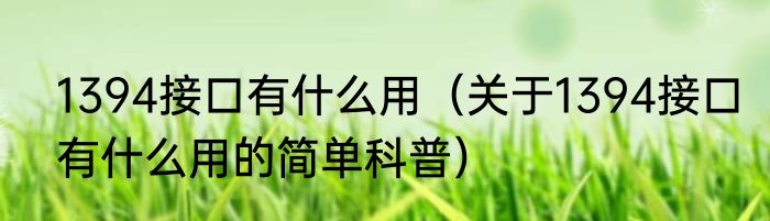 1394接口有什么用（关于1394接口有什么用的简单科普）