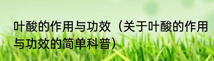 叶酸的作用与功效（关于叶酸的作用与功效的简单科普）