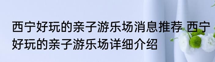 西宁好玩的亲子游乐场消息推荐 西宁好玩的亲子游乐场详细介绍