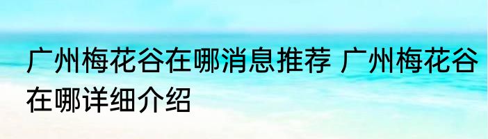 广州梅花谷在哪消息推荐 广州梅花谷在哪详细介绍