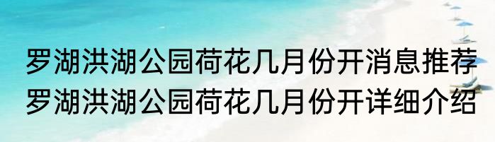 罗湖洪湖公园荷花几月份开消息推荐 罗湖洪湖公园荷花几月份开详细介绍