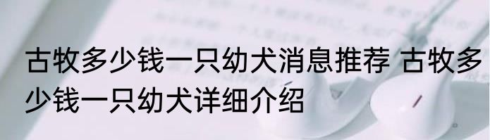 古牧多少钱一只幼犬消息推荐 古牧多少钱一只幼犬详细介绍