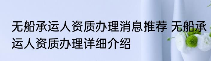 无船承运人资质办理消息推荐 无船承运人资质办理详细介绍