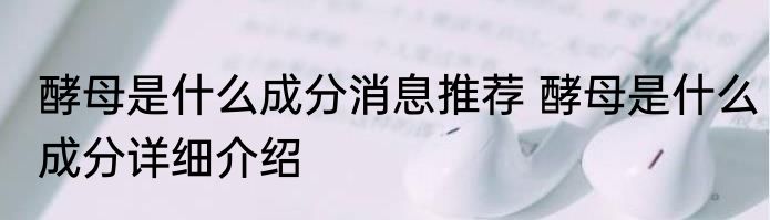 酵母是什么成分消息推荐 酵母是什么成分详细介绍