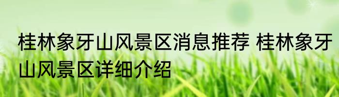 桂林象牙山风景区消息推荐 桂林象牙山风景区详细介绍