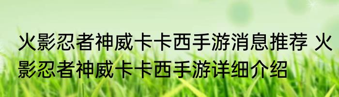 火影忍者神威卡卡西手游消息推荐 火影忍者神威卡卡西手游详细介绍