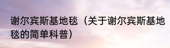 谢尔宾斯基地毯（关于谢尔宾斯基地毯的简单科普）