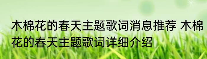 木棉花的春天主题歌词消息推荐 木棉花的春天主题歌词详细介绍