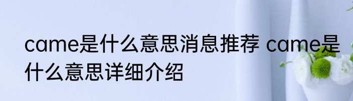 came是什么意思消息推荐 came是什么意思详细介绍