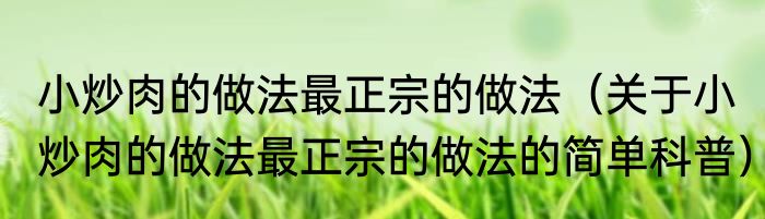 小炒肉的做法最正宗的做法（关于小炒肉的做法最正宗的做法的简单科普）