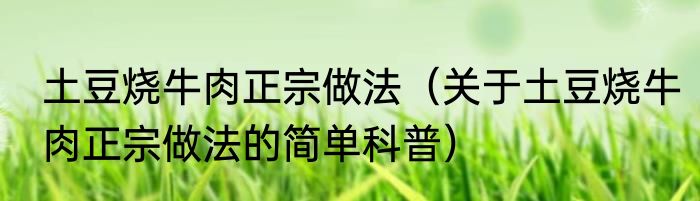 土豆烧牛肉正宗做法（关于土豆烧牛肉正宗做法的简单科普）