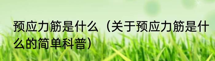 预应力筋是什么（关于预应力筋是什么的简单科普）