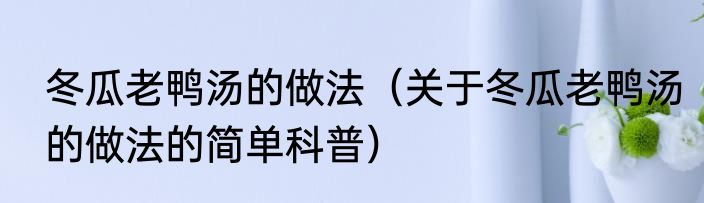 冬瓜老鸭汤的做法（关于冬瓜老鸭汤的做法的简单科普）
