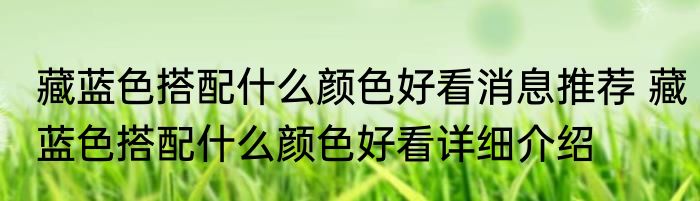 藏蓝色搭配什么颜色好看消息推荐 藏蓝色搭配什么颜色好看详细介绍