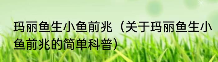 玛丽鱼生小鱼前兆（关于玛丽鱼生小鱼前兆的简单科普）