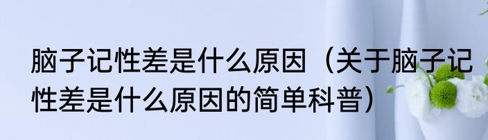 脑子记性差是什么原因（关于脑子记性差是什么原因的简单科普）
