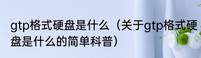 gtp格式硬盘是什么（关于gtp格式硬盘是什么的简单科普）