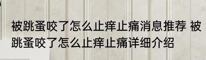 被跳蚤咬了怎么止痒止痛消息推荐 被跳蚤咬了怎么止痒止痛详细介绍
